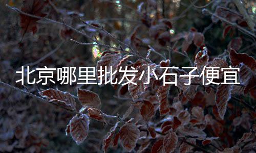 含山零售石子电话、彩石子零售、零售石子馍、金坛零售石子