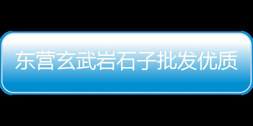 上海建筑材料 石子价格、上海石子沙子价格、上海嘉定卖石子、上海石子厂扰民